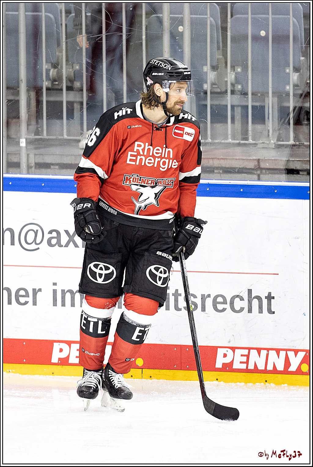 PENNY DEL;  Koelner Haie - Iserlohn Roosters; Koeln, 20.02.2022